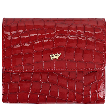 Braun Buffel