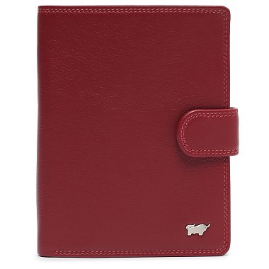 Braun Buffel